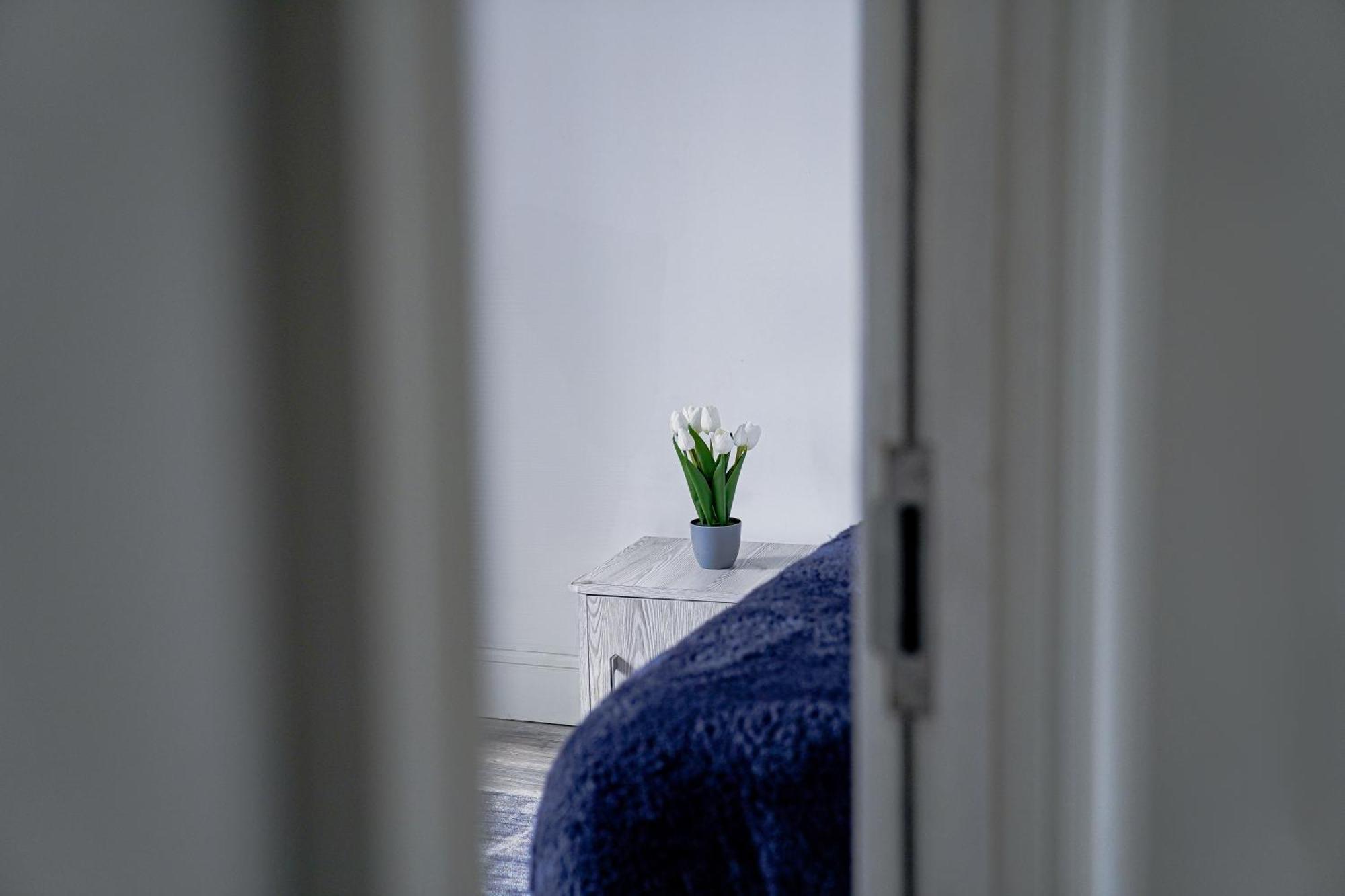 Hiltop 2bed Apartment, Near Centre, Sleeps 4 With Parking Apartment